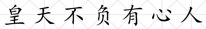 皇天不負有心人