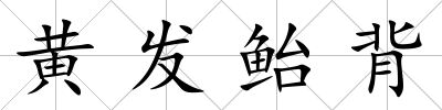 黃發鮐背