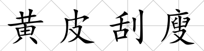黃皮刮廋