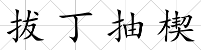 拔丁抽楔