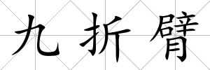 九折臂