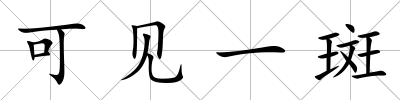可見一斑
