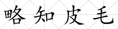略知皮毛