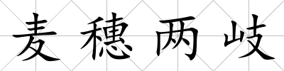 麥穗兩岐