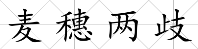 麥穗兩歧