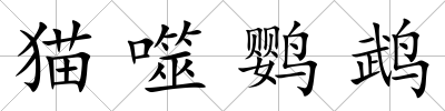 貓噬鸚鵡
