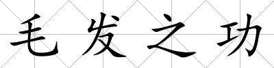 毛發(fā)之功