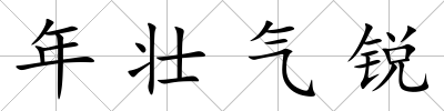 年壯氣銳