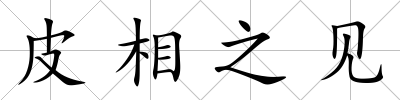 皮相之見