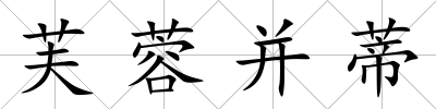 芙蓉并蒂