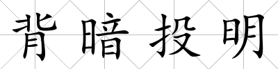 背暗投明