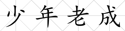 少年老成