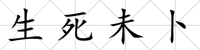 生死未卜