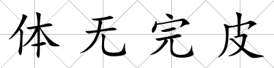 體無完皮