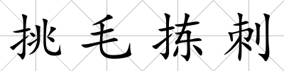挑毛揀刺