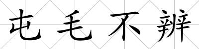屯毛不辨