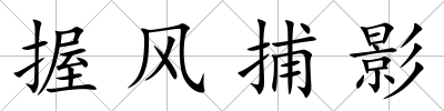 握風捕影