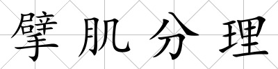 擘肌分理