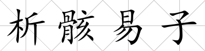析骸易子