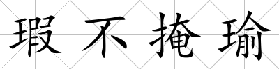 瑕不掩瑜
