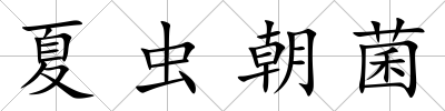 夏蟲朝菌