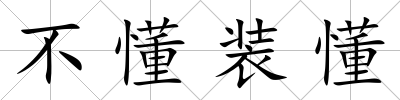 不懂裝懂