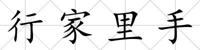行家里手