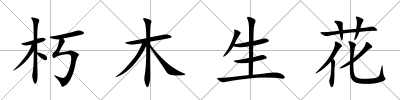 朽木生花