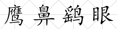 鷹鼻鷂眼
