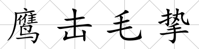 鷹擊毛摯