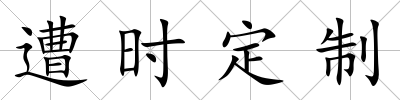 遭時定制