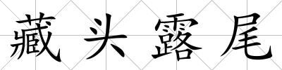 藏頭露尾
