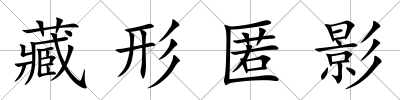 藏形匿影