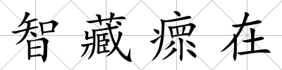 智藏瘝在
