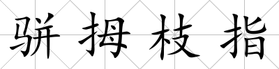 駢拇枝指