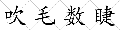 吹毛數睫