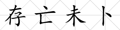 存亡未卜