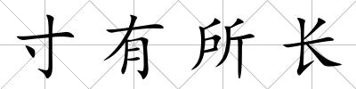 寸有所長