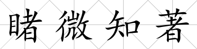 睹微知著