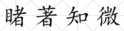 睹著知微