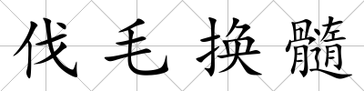 伐毛換髓
