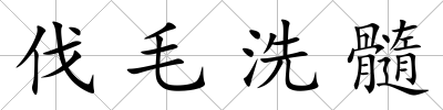 伐毛洗髓