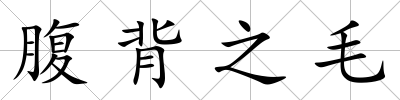 腹背之毛