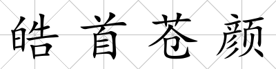 皓首蒼顏