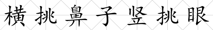 橫挑鼻子豎挑眼