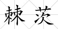 棘茨
