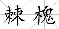 棘槐