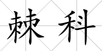 棘科
