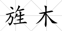 旌木