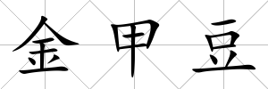 金甲豆